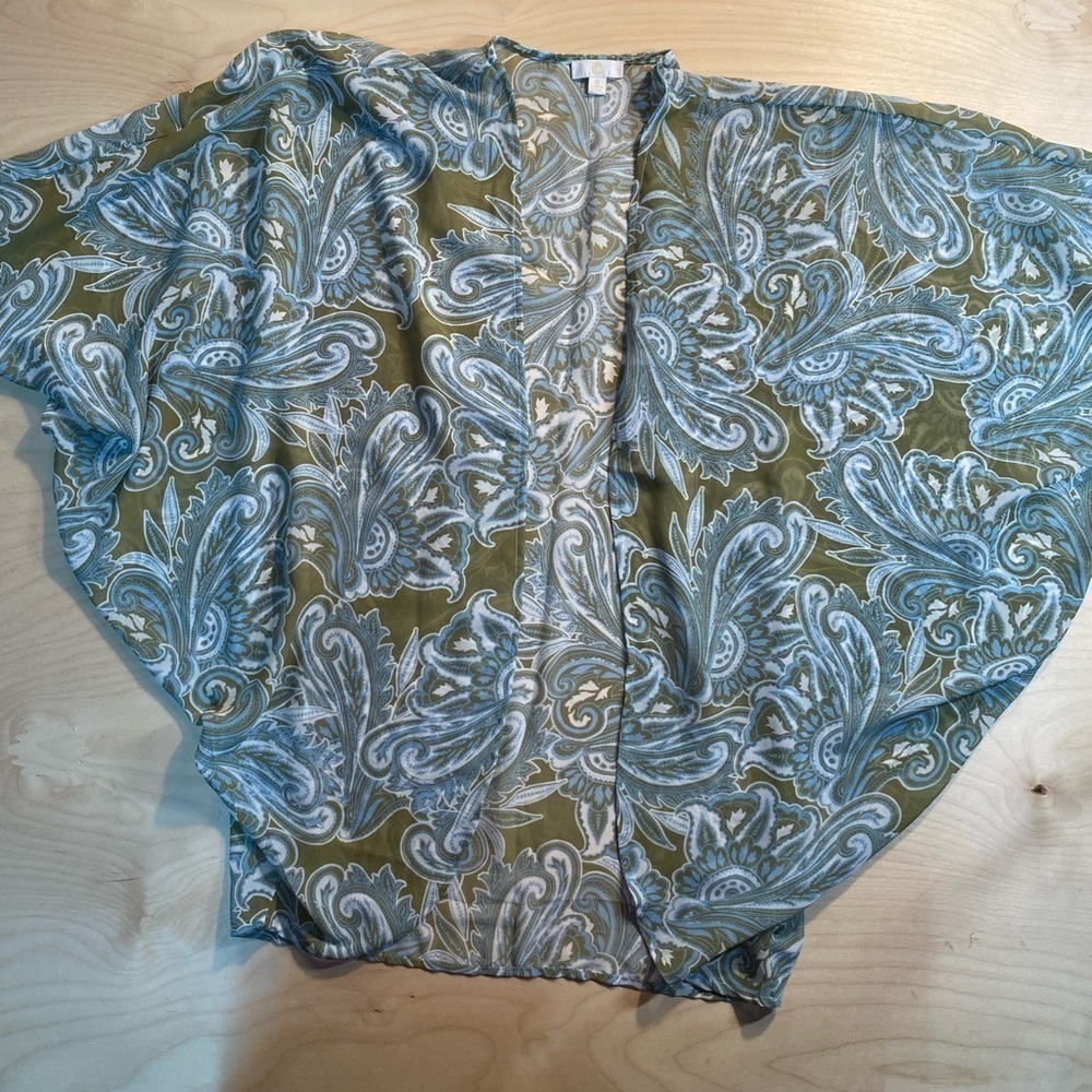 C Sheer Cardigan Wing Sleeves size Small (BR)